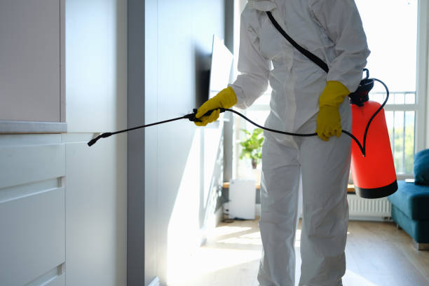 Best Emergency Mold Remediation in Bolinas, CA